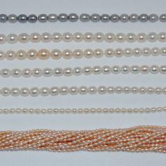 Größeres Bild anzeigen