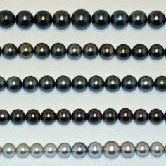 Größeres Bild anzeigen