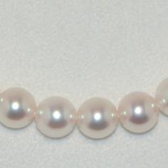 Größeres Bild anzeigen