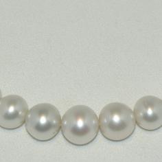 Größeres Bild anzeigen