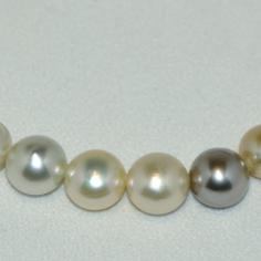 Größeres Bild anzeigen