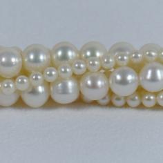 Größeres Bild anzeigen