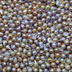 Größeres Bild anzeigen